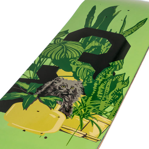 303 Boards - Big 3 Kitten Deck (Multiple Sizes)