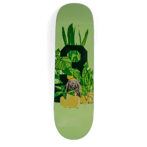 303 Boards - Big 3 Kitten Deck (Multiple Sizes)