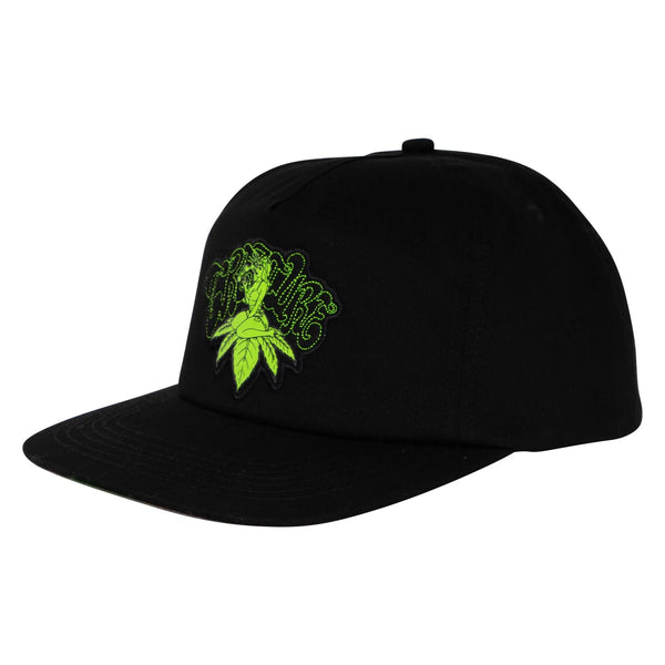 Creature - Top Shelf Hat (Black)