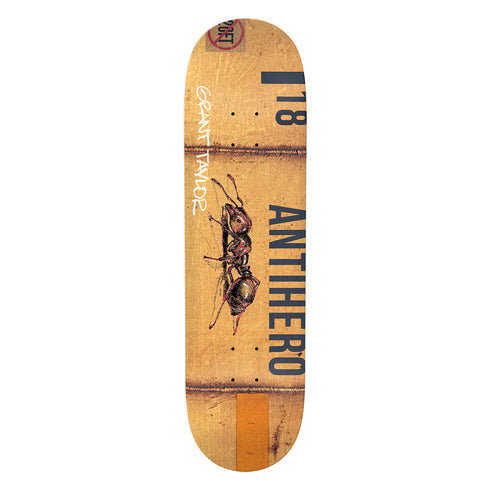 Anti Hero - Taylor Intermodal Deck (8.32")