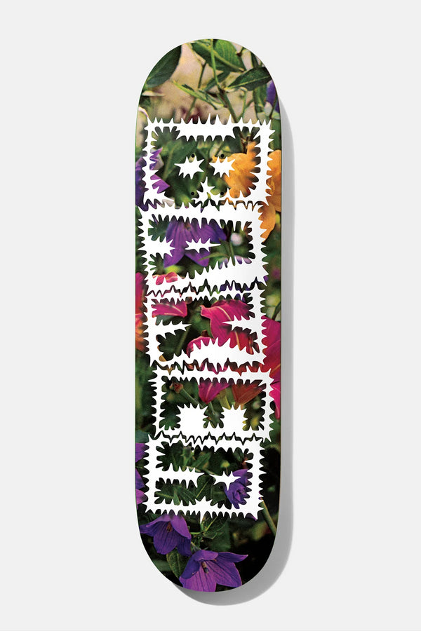 Baker - Reynolds Library Card Deck (8")