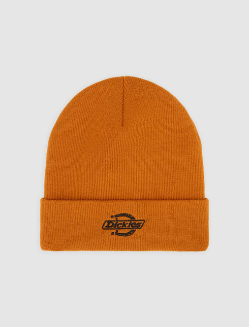 Dickies - Summerdale Beanie (Multiple Colors)