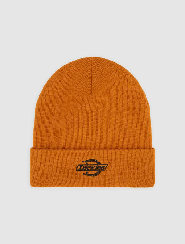 Dickies - Summerdale Beanie (Multiple Colors)