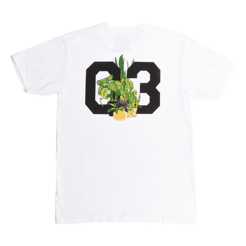 303 Boards - Big 3 Kitten Shirt (White/Heather Grey)