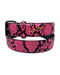 Loosey - Slither Pink Belt