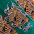 303 Boards - CLFX X Ellen Dragon Deck (Multiple Sizes) *SALE