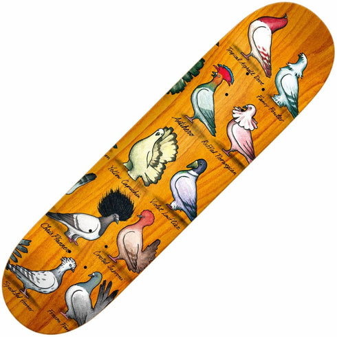 Anti Hero - Pfanner Show Pigeons Deck (8.06") *SALE