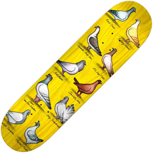 Anti Hero - Daan Show Pigeons Deck (8.38") *SALE