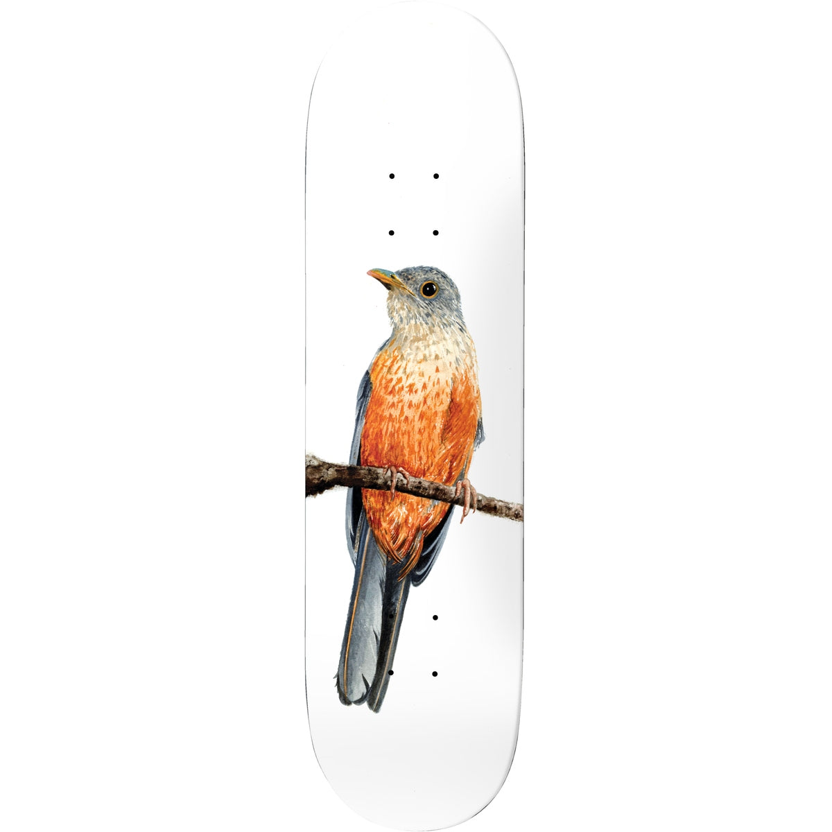 Deathwish - Yuri Sabia-Laranjeira Facchini Deck (8.125")