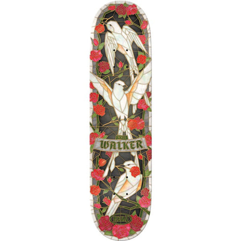 Real - Kyle Cathedral Deck (8.25")